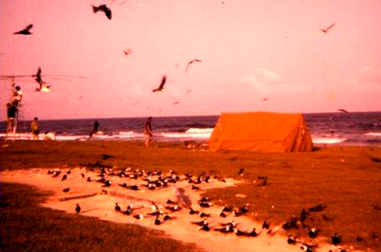 Isla de Aves 1973