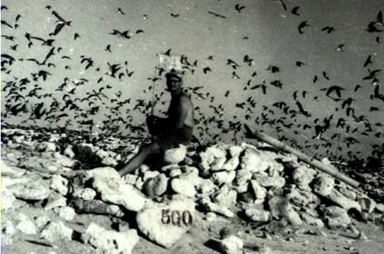 Isla de Aves 1958