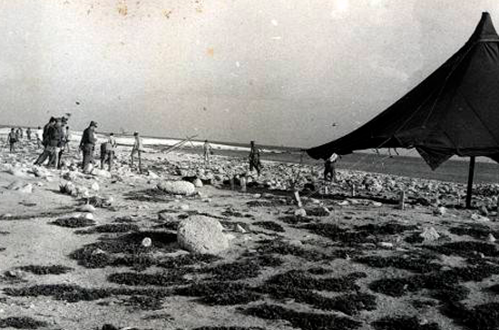 Isla de Aves 1956